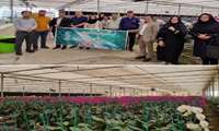 روایت پیشرفت در تور رسانه ای بازدید از توانمندهای بخش کشاورزی استان تهران در شهرستان دماوند