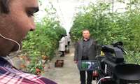 مستندسازی عوامل موفقیت نمونه های ملی کشاورزی استان تهران درسال1402
